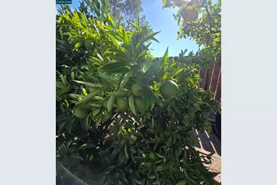 913 Seascape Cir, Rodeo, CA 94572 - Photo 67
