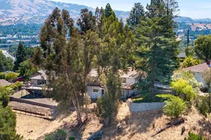 16 Ruth Ct, Lafayette, CA 94549 - Photo 43