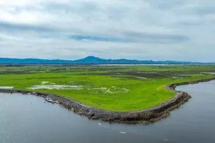 1822 Taylor Rd, Bethel Island, CA 94511 - Photo 13