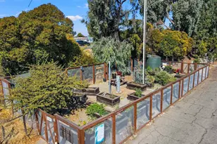 557 43rd St, Oakland, CA 94609 - Photo 51