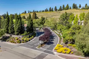 246 Canyon Woods Way, San Ramon, CA 94582 - Photo 91
