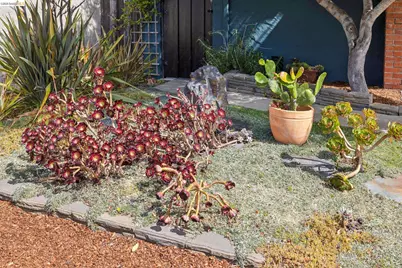 7423 Ward Ave, El Cerrito, CA 94530 - Photo 3