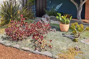 7423 Ward Ave, El Cerrito, CA 94530 - Photo 3