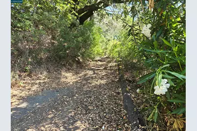 100 Black Log Rd, Kentfield, CA 94904 - Photo 7