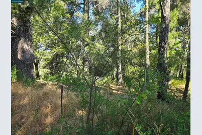 100 Black Log Rd, Kentfield, CA 94904 - Photo 9