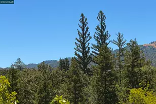 [Address not provided], Walnut Creek, CA 94595 - Photo 7