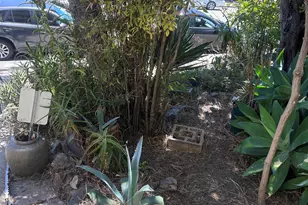 4035 Howe St, Oakland, CA 94611 - Photo 11