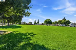 1532 Sophie Ln, Escalon, CA 95320 - Photo 41