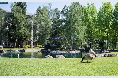 1840 Tice Creek Drive #2307, Walnut Creek, CA 94595 - Photo 45