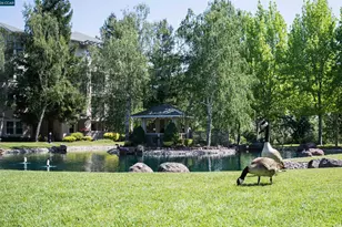 1840 Tice Creek Dr, Walnut Creek, CA 94595 - Photo 45