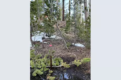7217 Palisade Road, Soda Springs, CA 95728 - Photo 11