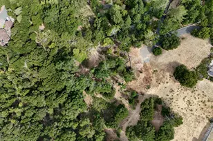 58 Zander Ct, Orinda, CA 94563 - Photo 7