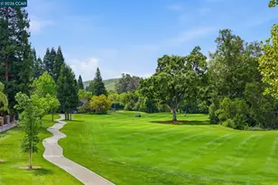 51 Red Cypress Ct, Danville, CA 94506 - Photo 65