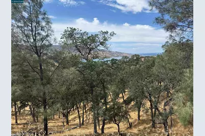 1123 Steele Canyon Rd., Napa, CA 94558 - Photo 3