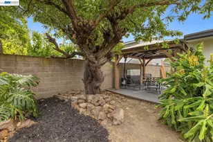 4624 Delores Dr, Union City, CA 94587 - Photo 37