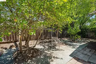 1810 3rd Ave, Walnut Creek, CA 94597 - Photo 21