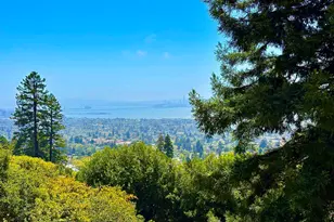 916 Cragmont Ave, Berkeley, CA 94708 - Photo 35