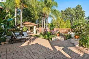 1439 Vine Ln, Alamo, CA 94507 - Photo 59