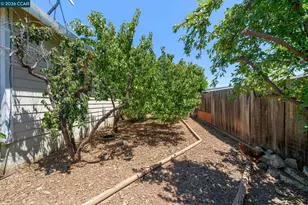 1361 La Vista Ave, Concord, CA 94521 - Photo 41