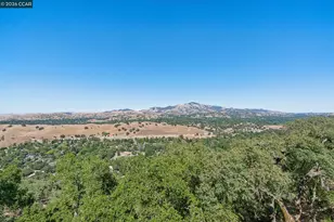 321 Castle Crest Rd, Alamo, CA 94507 - Photo 31