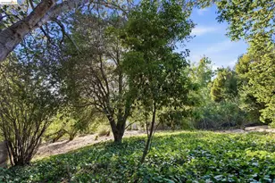 7308 Hillmont, Oakland, CA 94605 - Photo 33