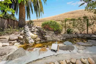 35578 Rockland Ct, Fremont, CA 94536 - Photo 75