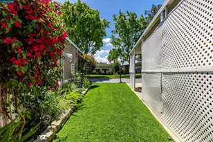 2368 Dalis Dr, Concord, CA 94520 - Photo 5
