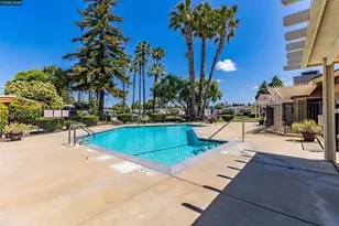 2368 Dalis Dr, Concord, CA 94520 - Photo 73