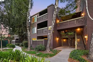 682 Teatree Ct, San Jose, CA 95128 - Photo 9