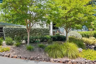 1617 Ptarmigan Dr, Walnut Creek, CA 94595 - Photo 43