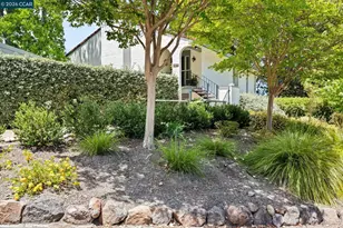 1617 Ptarmigan Dr, Walnut Creek, CA 94595 - Photo 41