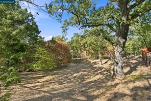 890 Holly Hill Dr, Walnut Creek, CA 94596 - Photo 33