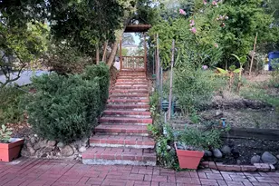 890 Holly Hill Dr, Walnut Creek, CA 94596 - Photo 37