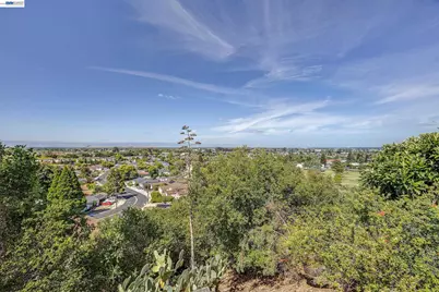 33027 Palmetto Drive, Union City, CA 94587 - Photo 5