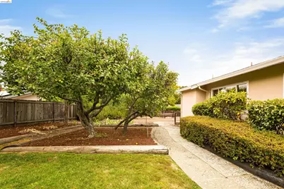 3115 Del Oceano Dr, Lafayette, CA 94549 - Photo 55