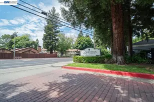 2598 Oak Rd, Walnut Creek, CA 94597 - Photo 31