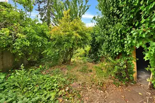2219 Derby St, Berkeley, CA 94705 - Photo 41