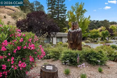 2889 Ptarmigan Drive #1, Walnut Creek, CA 94595 - Photo 31