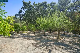 864 Coachman Pl, Clayton, CA 94517 - Photo 53