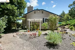 2090 Pebble Dr, Alamo, CA 94507 - Photo 49