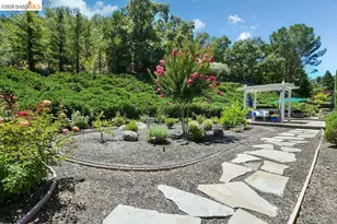 2090 Pebble Dr, Alamo, CA 94507 - Photo 45