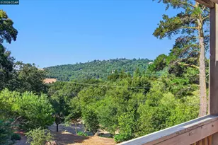 1989 Robin Ridge Ct, Walnut Creek, CA 94597 - Photo 29