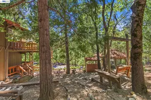 24217 Appaloosa Way, Sonora, CA 95370 - Photo 55