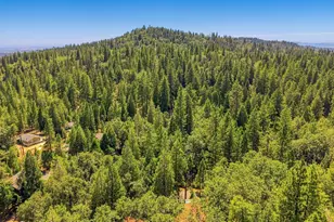 24217 Appaloosa Way, Sonora, CA 95370 - Photo 71