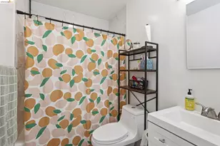 869 Woodside Way, San Mateo, CA 94401 - Photo 43