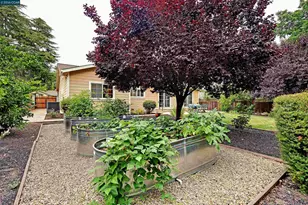161 Valle Vista Dr, Danville, CA 94526 - Photo 49