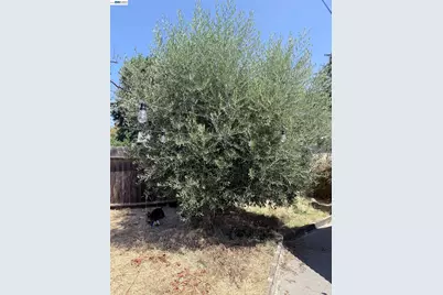 137 Viewmont Avenue, Vallejo, CA 94590 - Photo 61