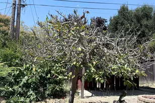 137 Viewmont Ave, Vallejo, CA 94590 - Photo 57