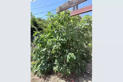 137 Viewmont Avenue, Vallejo, CA 94590 - Photo 59