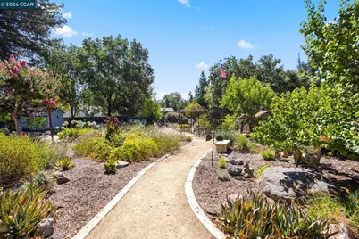 162 La Questa Dr, Danville, CA 94526 - Photo 39